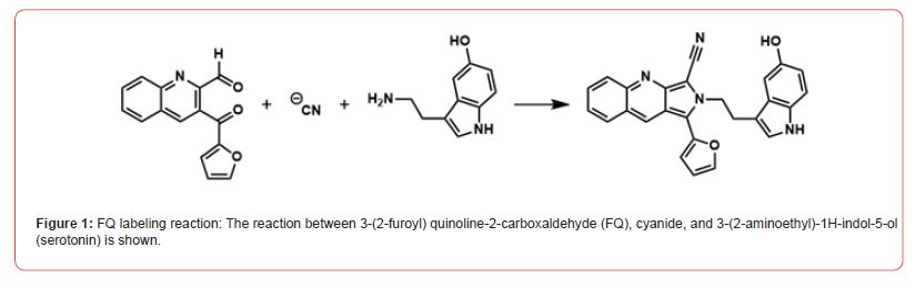 Click here to view Large Figure 1 Insights in Chemistry and Biochemistry